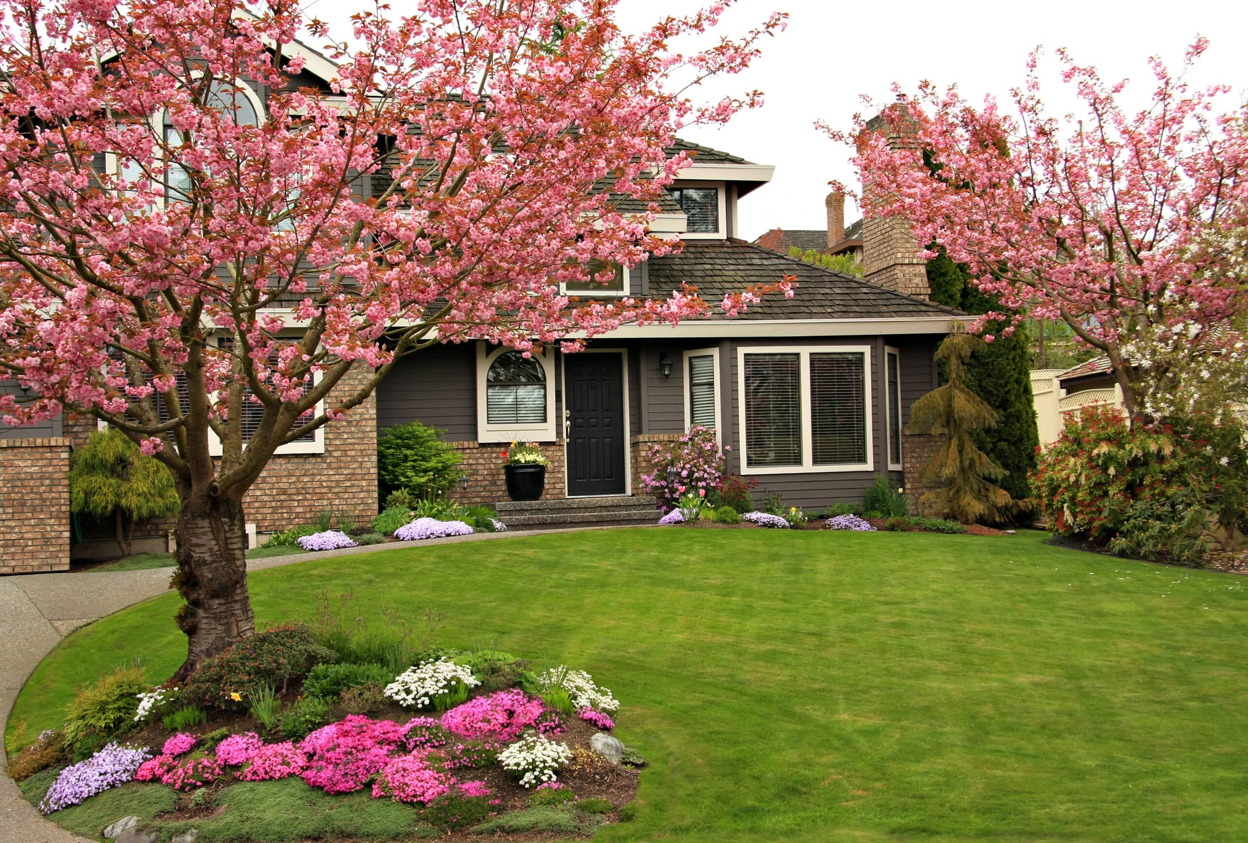 Beautiful home with blossoming cherry trees. springtime header image