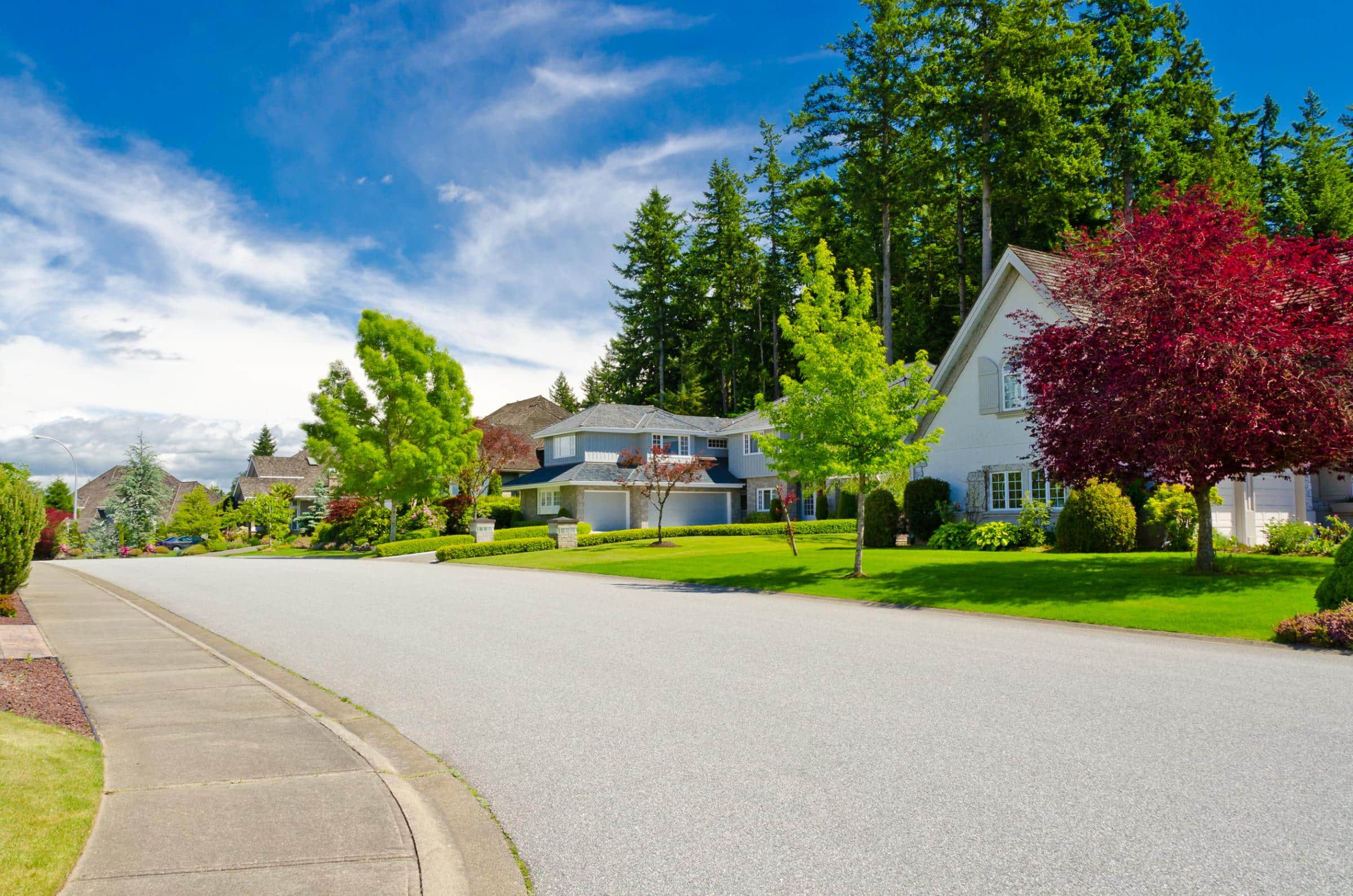 Peaceful suburban street