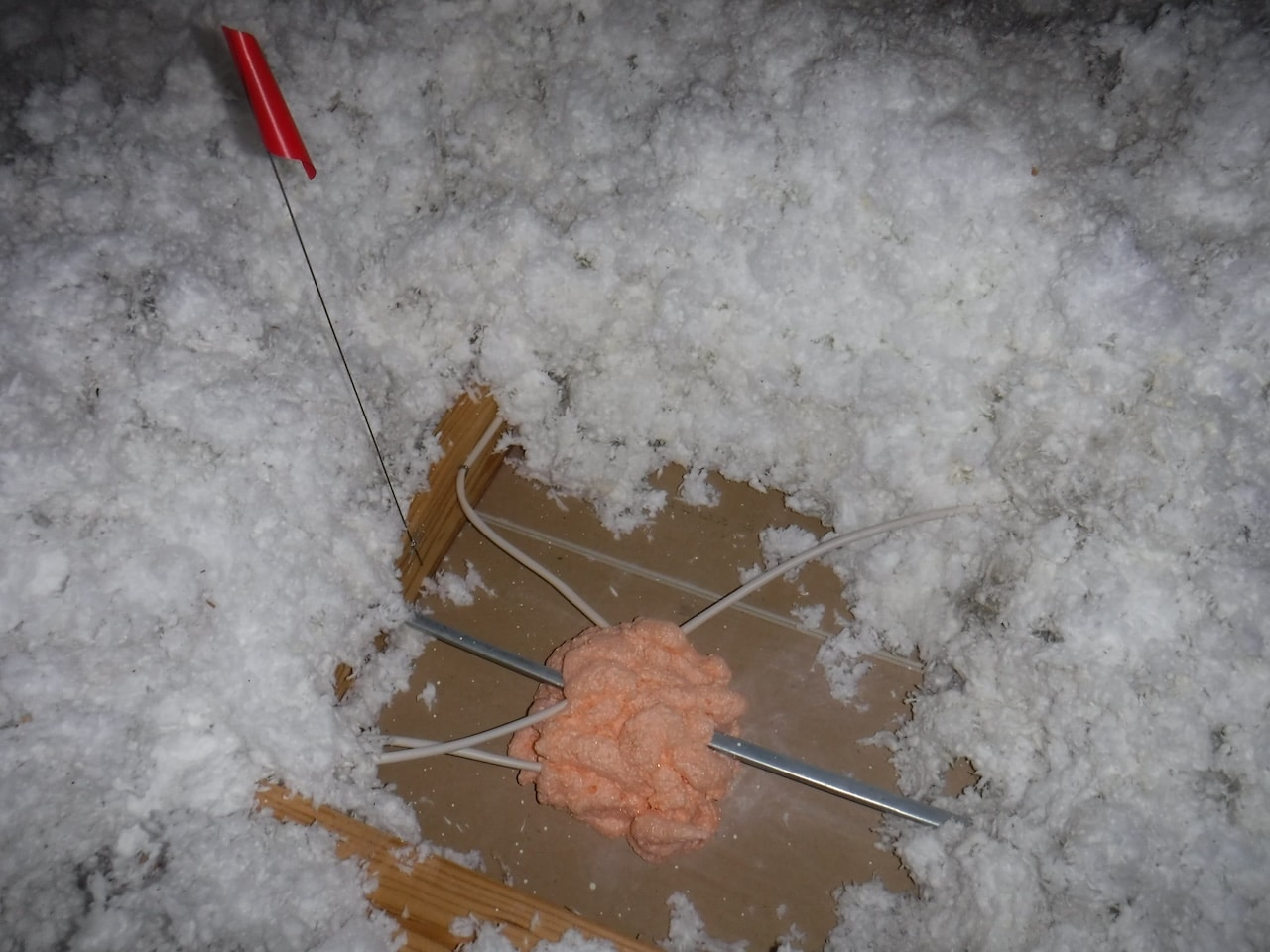 after image 4