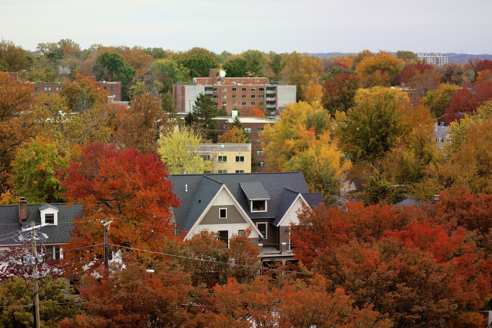 Home Comfort and Energy Efficiency Experts in Bethesda, MD blog header image