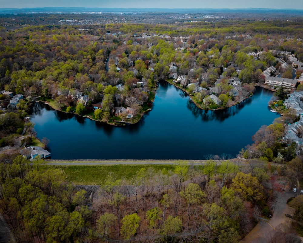reston, va header image